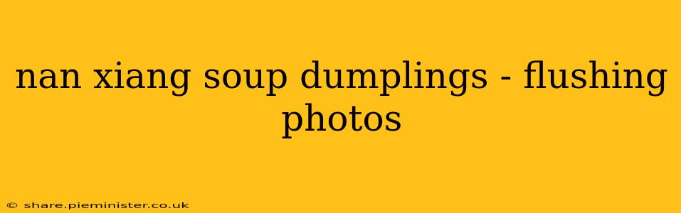 nan xiang soup dumplings - flushing photos