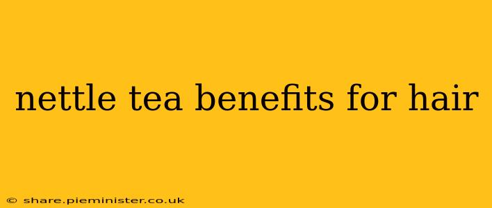 nettle tea benefits for hair