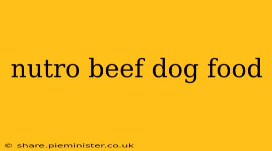 nutro beef dog food