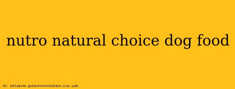 nutro natural choice dog food
