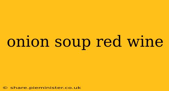 onion soup red wine