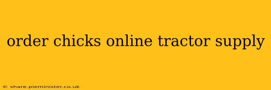 order chicks online tractor supply
