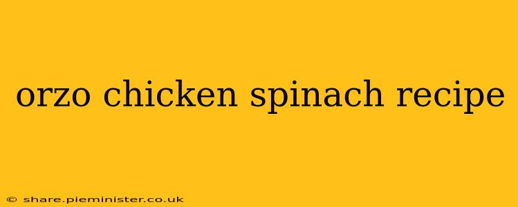 orzo chicken spinach recipe