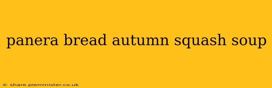 panera bread autumn squash soup
