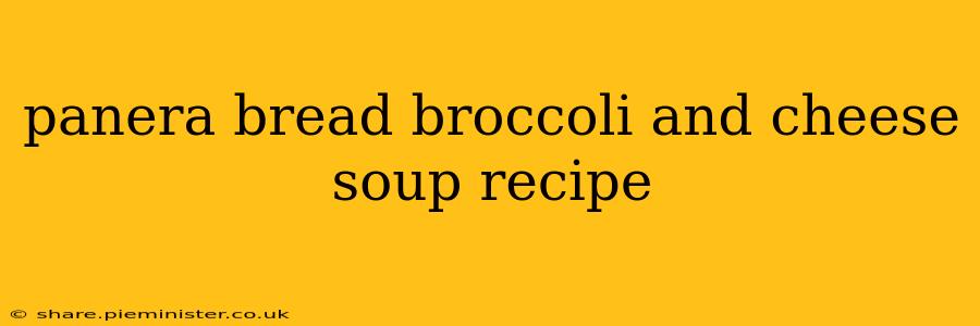 panera bread broccoli and cheese soup recipe