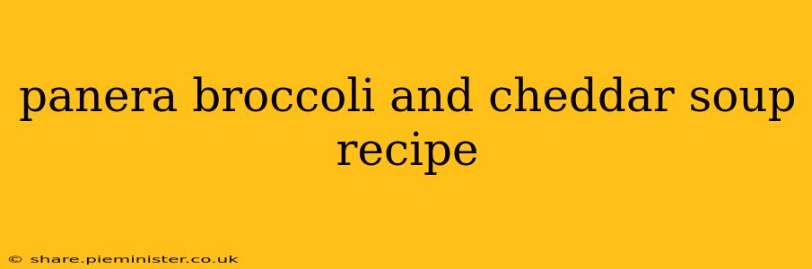 panera broccoli and cheddar soup recipe