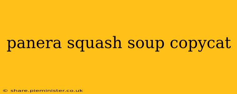 panera squash soup copycat