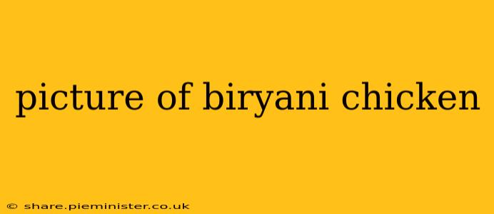 picture of biryani chicken picture of biryani chicken