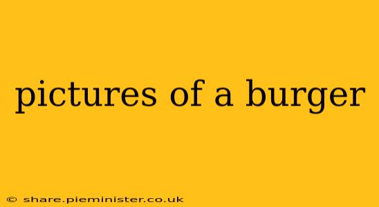 pictures of a burger
