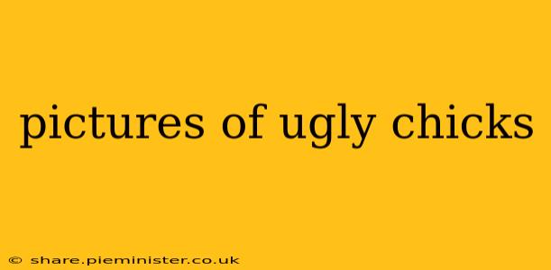pictures of ugly chicks pictures of ugly chicks