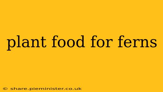plant food for ferns