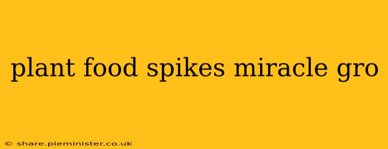 plant food spikes miracle gro