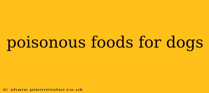 poisonous foods for dogs