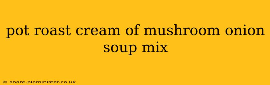 pot roast cream of mushroom onion soup mix