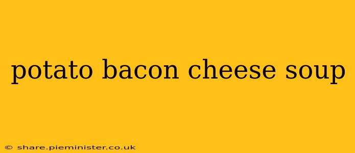 potato bacon cheese soup