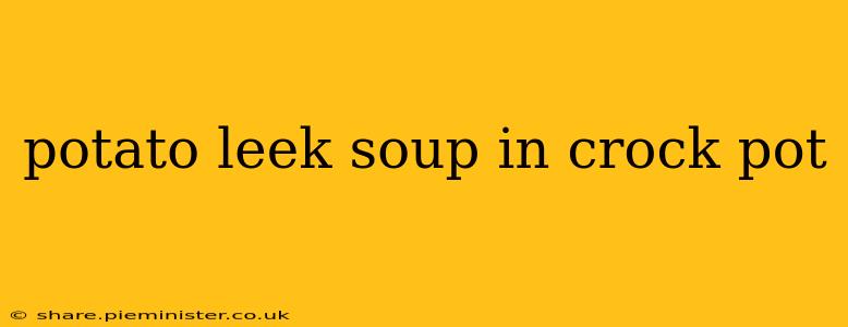 potato leek soup in crock pot