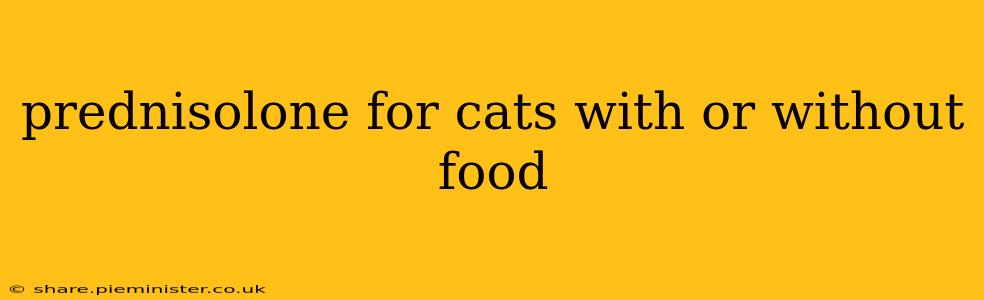 prednisolone for cats with or without food