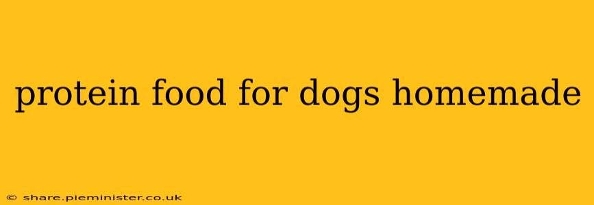protein food for dogs homemade