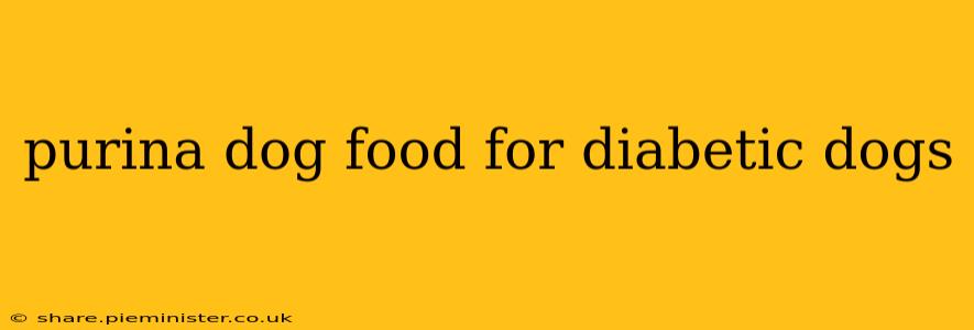 purina dog food for diabetic dogs