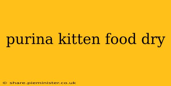purina kitten food dry