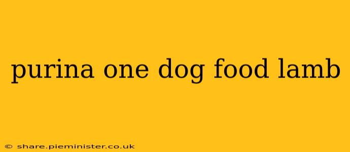 purina one dog food lamb