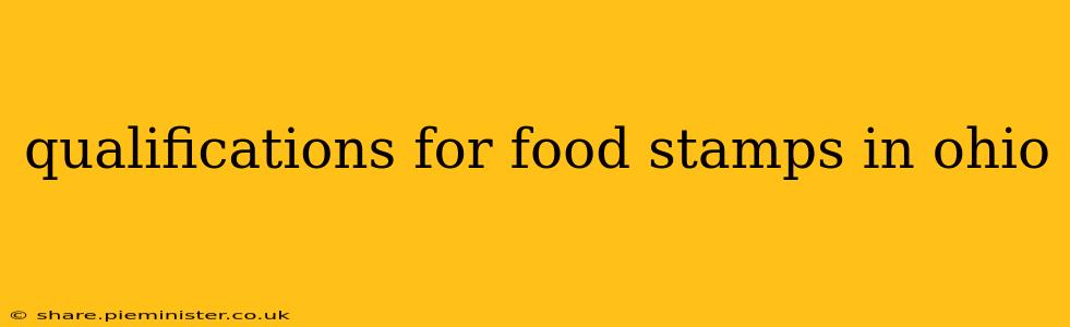 qualifications for food stamps in ohio