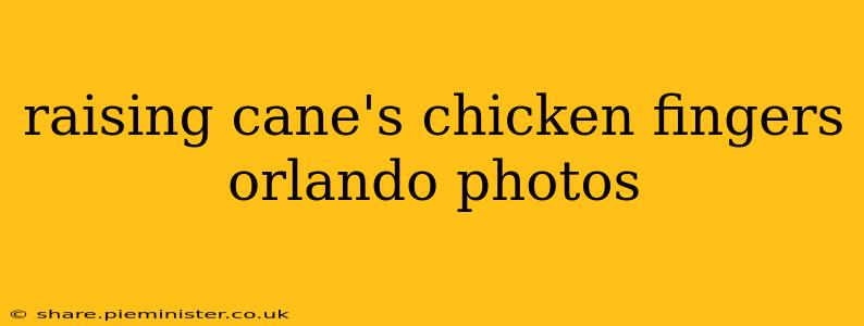 raising cane's chicken fingers orlando photos