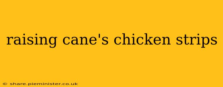 raising cane's chicken strips