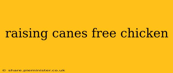 raising canes free chicken