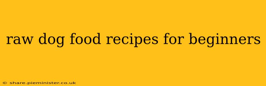 raw dog food recipes for beginners