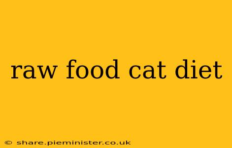 raw food cat diet