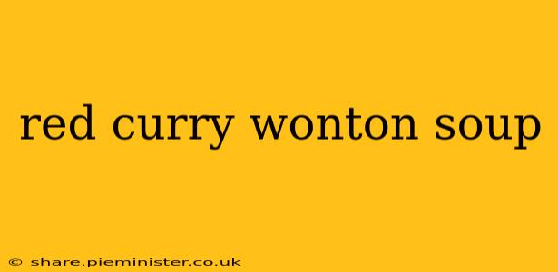 red curry wonton soup