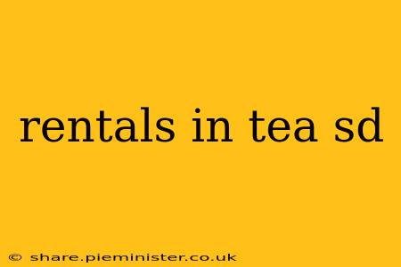 rentals in tea sd