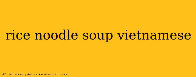 rice noodle soup vietnamese