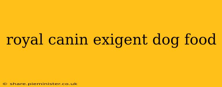 royal canin exigent dog food