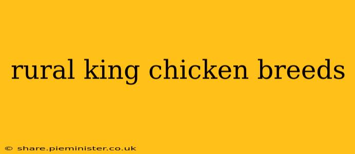 rural king chicken breeds