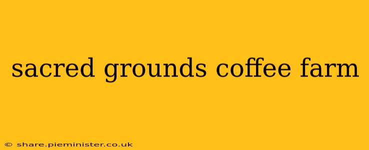 sacred grounds coffee farm