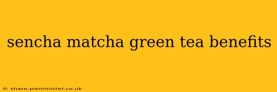 sencha matcha green tea benefits