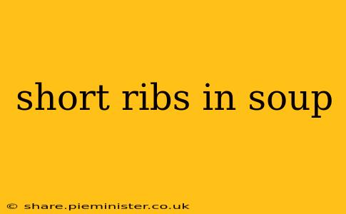 short ribs in soup