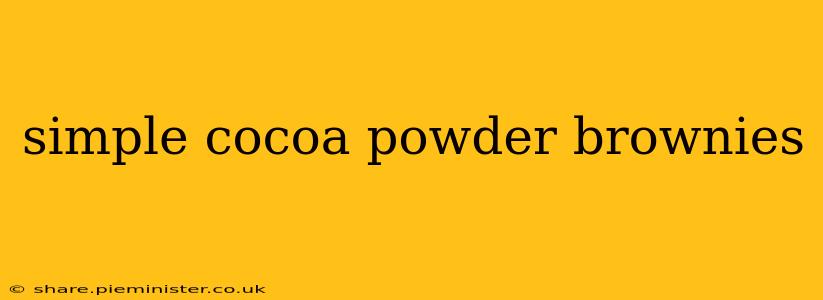 simple cocoa powder brownies