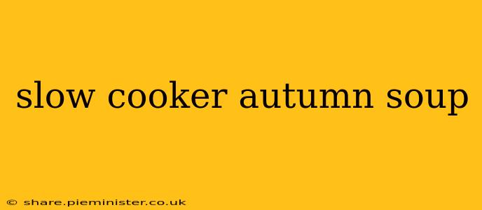slow cooker autumn soup