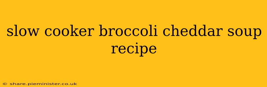 slow cooker broccoli cheddar soup recipe