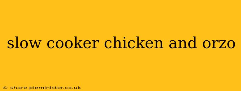 slow cooker chicken and orzo