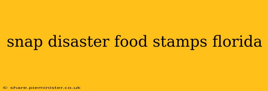 snap disaster food stamps florida