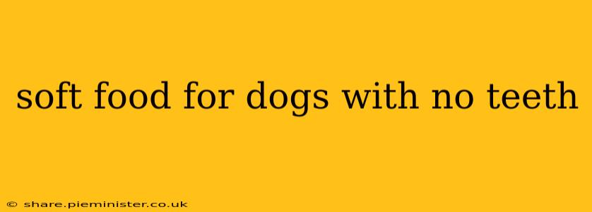 soft food for dogs with no teeth