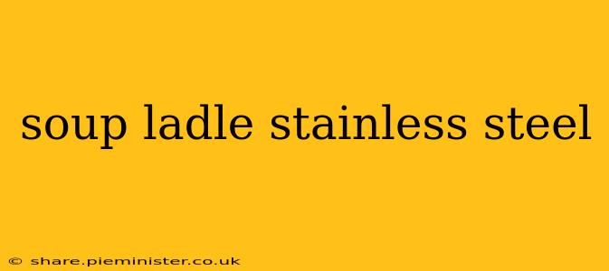 soup ladle stainless steel