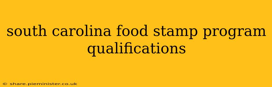 south carolina food stamp program qualifications