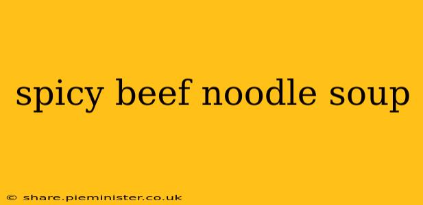 spicy beef noodle soup