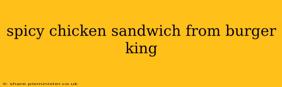 spicy chicken sandwich from burger king