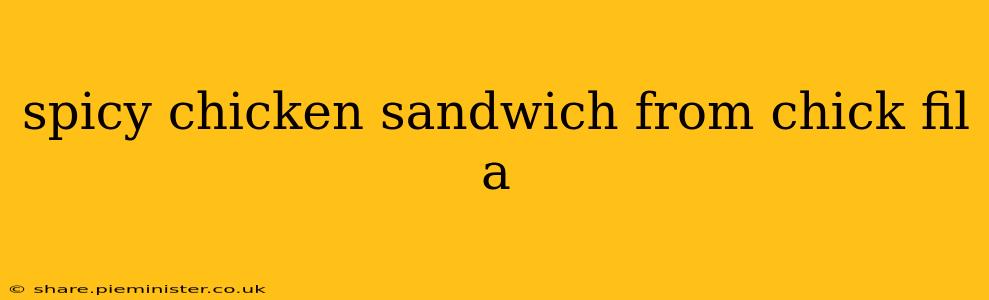 spicy chicken sandwich from chick fil a